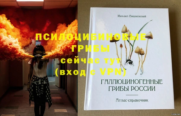 хмурый Богородицк
