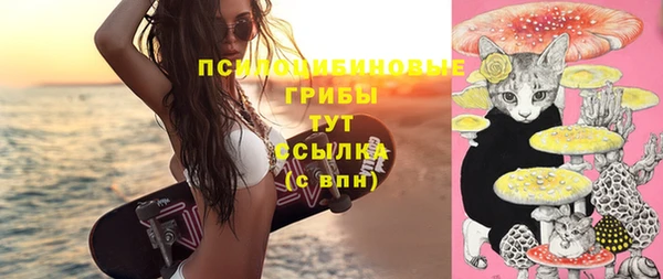 хмурый Богородицк