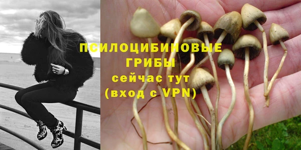 хмурый Богородицк