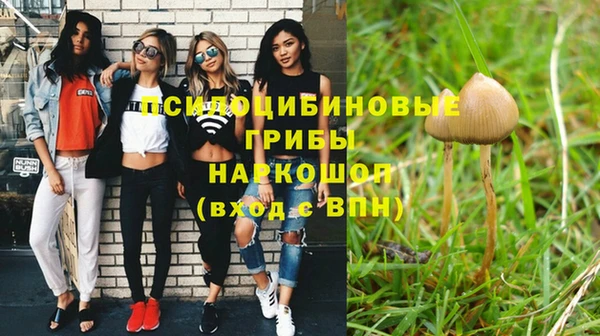 хмурый Богородицк