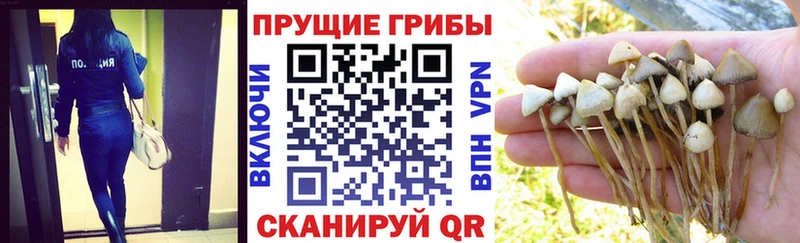 Галлюциногенные грибы MAGIC MUSHROOMS  Безенчук 